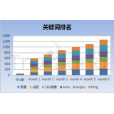 齐河如何防止SEO关键词排名下降